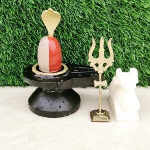 janeu dhari Shivling Set For Home Pooja