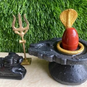Beautiful Shivling Set For Home Pooja