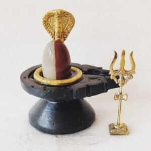 Tilak dhari Shivling Set For Home