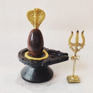 narmadeshwar shivling